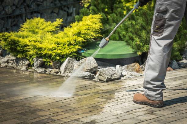 Best Fence Cleaning  in Frazier Park, CA